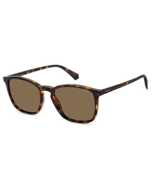 Polaroid Brown Sunglasses for men